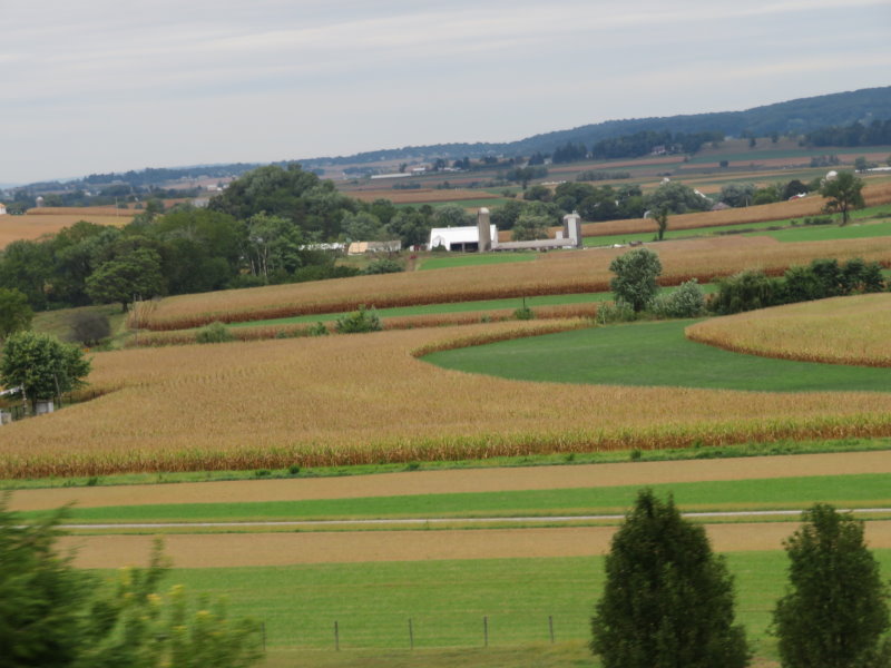 Corn Fields near Lancaster
